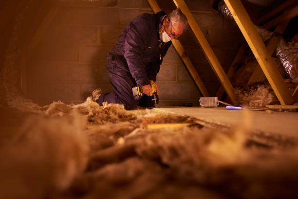 Professional Insulation in Whitehall, MI